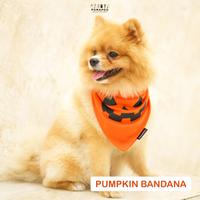 Gambar POMAPOO - Bandana Kucing dan Bandana Anjing Pumpkin Bandana - PUMPKIN, BANDANA - S dari Pomapoo Kota Bandung 2 Tokopedia