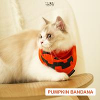 Gambar POMAPOO - Bandana Kucing dan Bandana Anjing Pumpkin Bandana - PUMPKIN, BANDANA - S dari Pomapoo Kota Bandung 4 Tokopedia