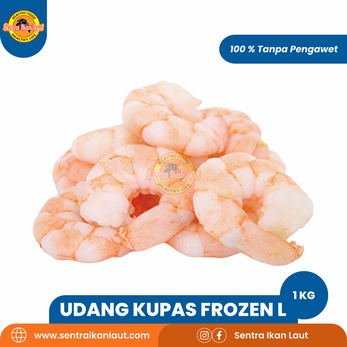Gambar Sentra Ikan Laut Udang Kupas Bersih Size L Beku Frozen 1 kg Ukuran 31-40 Kualitas Super Tanpa Pengawet dari Sentraikanlaut Kota Administrasi Jakarta Timur Tokopedia