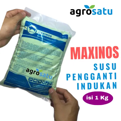 Maxinos - Susu Pengganti Indukan Cempe Anak Kambing Sapi Pedet Babi