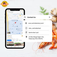 Gambar Udang Kupas 70,80 - 500 gram - 41-50 dari Sentraikanlaut Kota Administrasi Jakarta Timur 2 Tokopedia