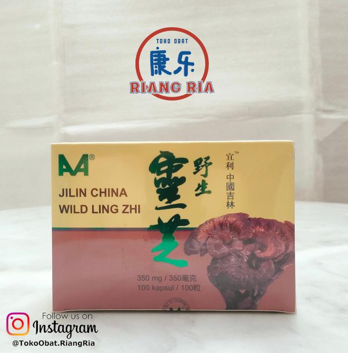Gambar JILIN CHINA WILD LINGZHI / KAPSUL LING ZHI - 100 Kapsul dari TO Riang Ria Kota Administrasi Jakarta Utara Tokopedia