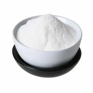 Silica Silylate Powder (1kg)