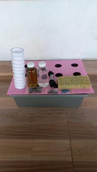 Gambar Paket Starterkit Hidroponik Sistem Wick 6 Lubang Tanam(siap pakai) dari aahidroponik Kab. Magelang 4 Tokopedia