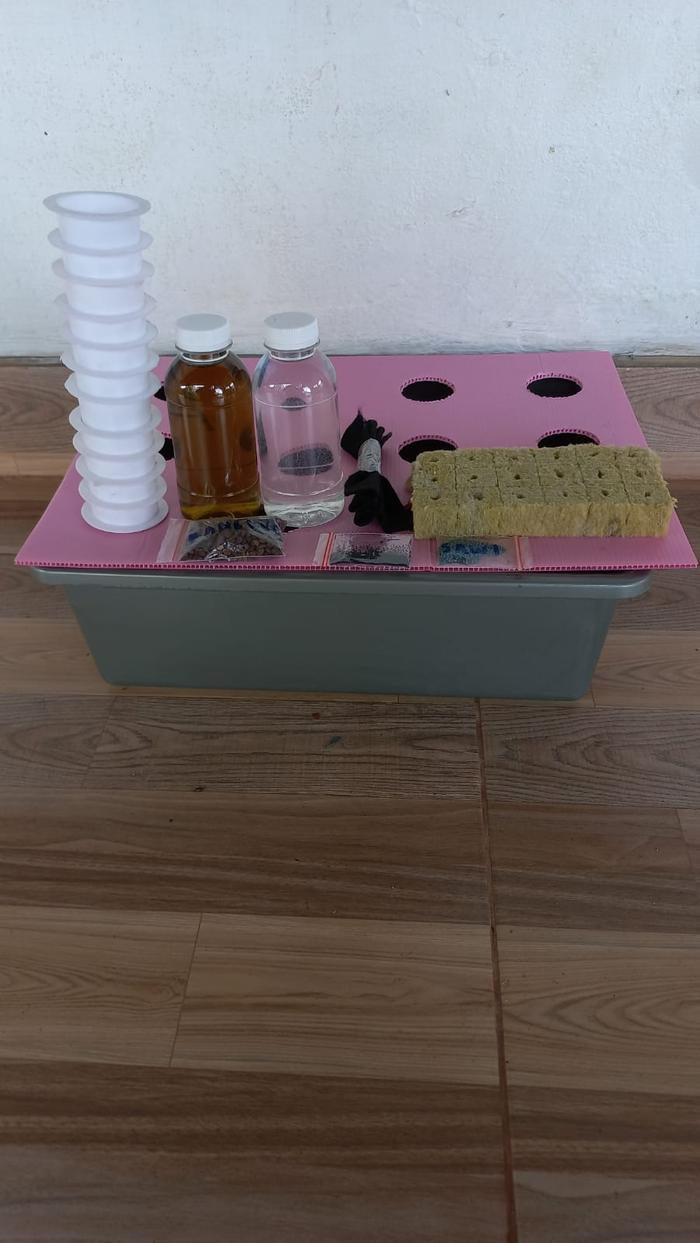 Gambar Paket Starterkit Hidroponik Sistem Wick 6 Lubang Tanam(siap pakai) dari aahidroponik Kab. Magelang Tokopedia