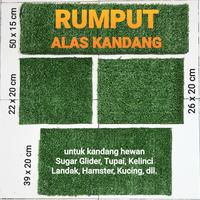 Gambar ALAS KANDANG RUMPUT aman untuk sugar glider hamster landak tupai tikus - 39x20cm dari charlotte bowtique Kota Administrasi Jakarta Barat 4 Tokopedia