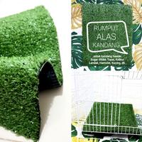 Gambar ALAS KANDANG RUMPUT aman untuk sugar glider hamster landak tupai tikus - 39x20cm dari charlotte bowtique Kota Administrasi Jakarta Barat 1 Tokopedia