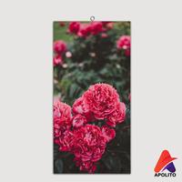 Gambar HIASAN DINDING BUNGA PEONY AESTHETIC (15X30) PAJANGAN WALL DECOR - O121-1 dari Apolito Kota Malang 4 Tokopedia