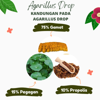 Gambar Agarillus Drop, Stamina, Persendian, kecerdasan otak, penuaan dini dari Pusat_Herbal_Indonesia Kab. Malang 4 Tokopedia