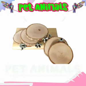 tangkringan hamster burung parrot sugar glider