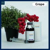 Gambar Pengharum Ruangan Refill Summerspring Botol Apel 100 ml Grape dari FragaShop25 Kota Bekasi 5 Tokopedia