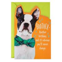 Gambar GREETING CARD- HALLMARK- KARTU UCAPAN-BIRTHDAY CARD- DOG WITH BOW TIE dari Hallmark Cards Indonesia Kota Administrasi Jakarta Utara 1 Tokopedia