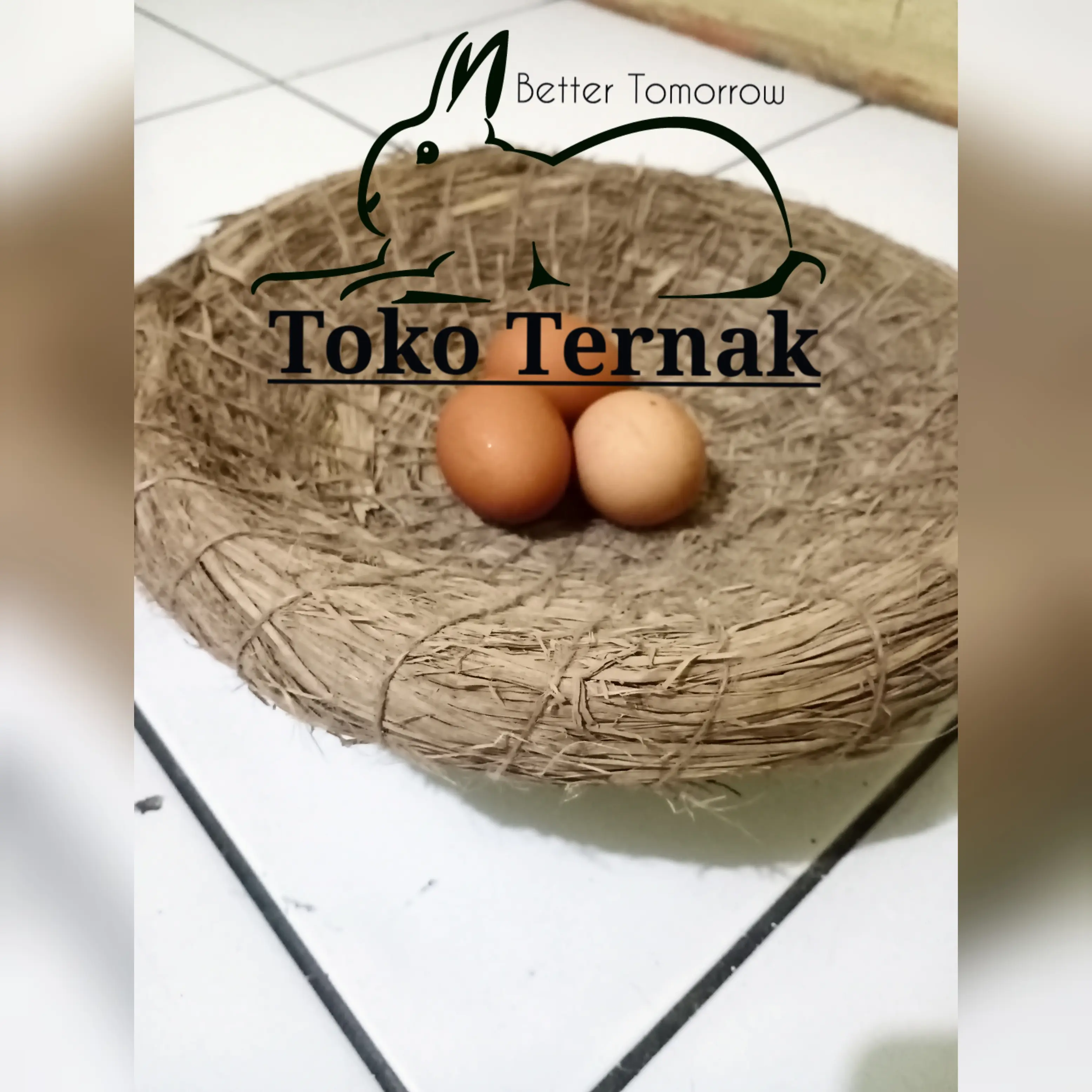 tempat bertelur ayam jerami besar