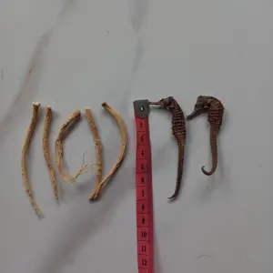 Akar Ginseng 5pcs + Kud4 kering 2pcs