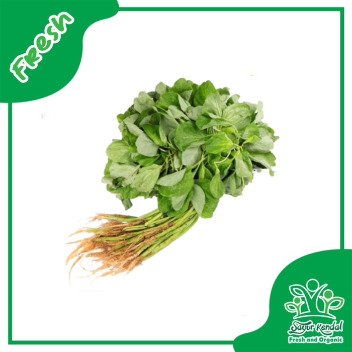Gambar Bayam Hijau - Sayur Kendal - 1000gr dari Sayur Kendal Menteng Kota Administrasi Jakarta Pusat Tokopedia