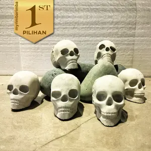 Hiasan Tengkorak Aquarium Aquascape Tanaman Air dan Ikan Hias