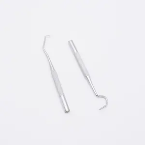 BIutte.co Tusuk Gigi Stainless Steel Toothpick Set Metal Flossing Tool