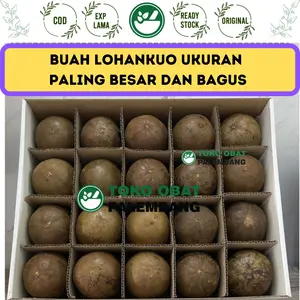LOHANKUO BUAH BESAR 1 BUAH LO HAN KUO LOHANGUO LO HAN GUO 1 BUAH LOHAN
