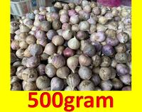 Gambar 500gram Bawang Putih Tunggal/Lanang Kulit Ungu dari Pusat Bawang Lanang Kota Semarang 1 Tokopedia