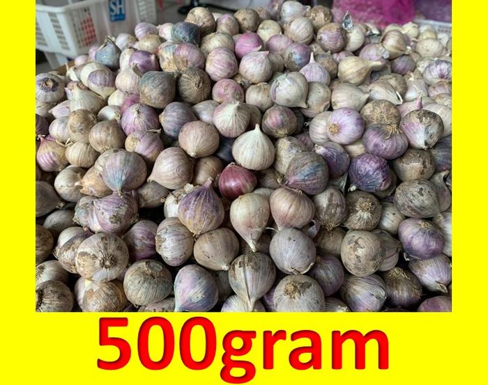 Gambar 500gram Bawang Putih Tunggal/Lanang Kulit Ungu dari Pusat Bawang Lanang Kota Semarang Tokopedia
