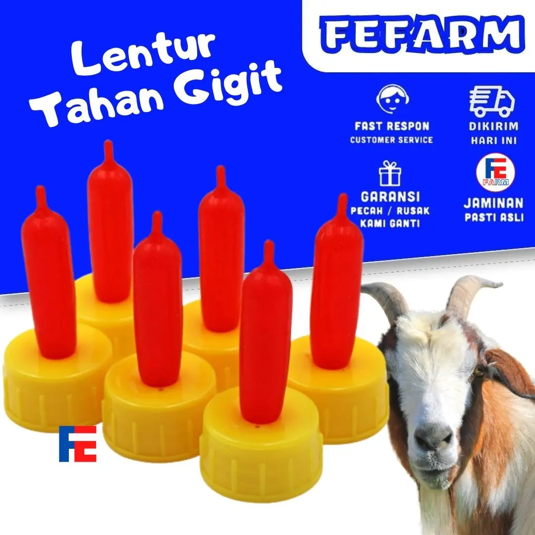 DOT CEMPE KECIL UNTUK ANAK KAMBING DOMBA