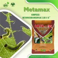 Gambar METARHIZIUM-Pestisida Organik-Pestisida Ramah Lingkungan- dari Putra Agro Lestari Kota Salatiga 2 Tokopedia