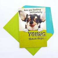 Gambar GREETING CARD- HALLMARK- KARTU UCAPAN- LEAP YEAR- BIRTHDAY CARD- DOG dari Hallmark Cards Indonesia Kota Administrasi Jakarta Utara 2 Tokopedia