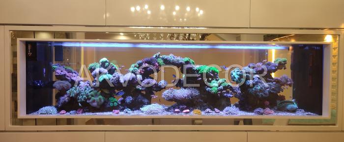 Gambar Aquarium air laut full set up 250 cm dari Akvodecor Kota Administrasi Jakarta Barat Tokopedia