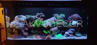 Gambar Aquarium air laut full set up 150 cm dari Akvodecor Kota Administrasi Jakarta Barat 1 Tokopedia