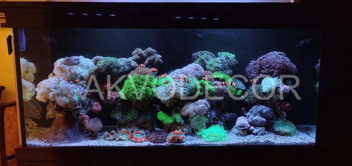 Gambar Aquarium air laut full set up 150 cm dari Akvodecor Kota Administrasi Jakarta Barat Tokopedia
