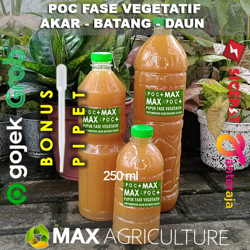POC fase Vegetatif Akar Batang Daun 0