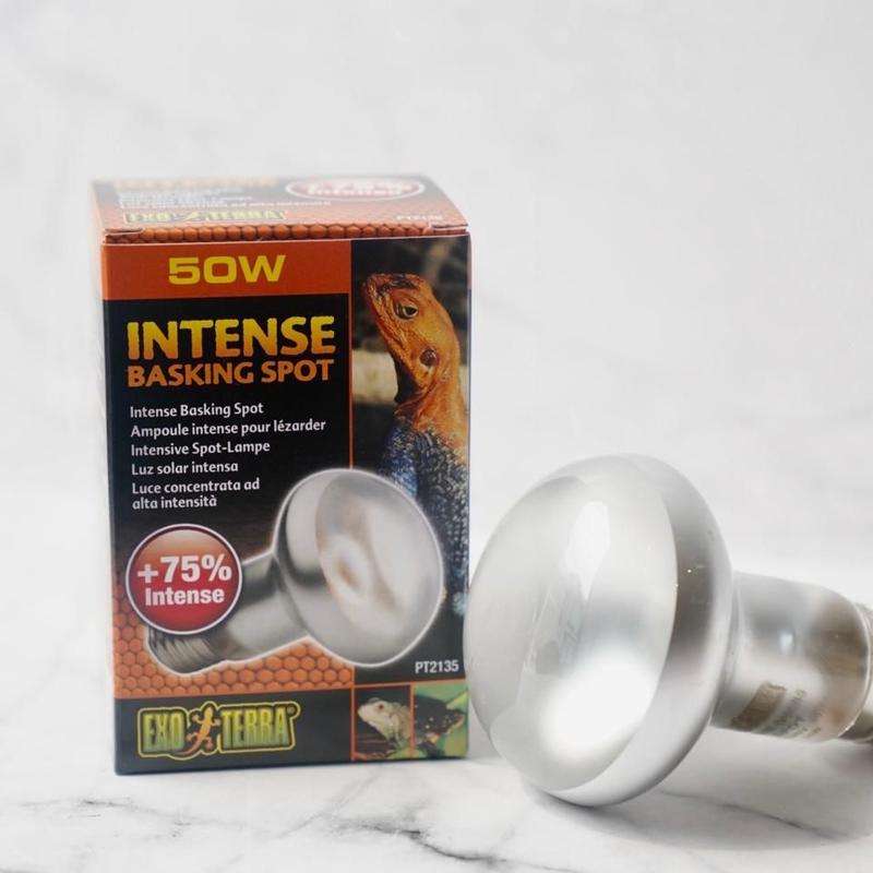lampu uva exoterra 50 watt, pemanas reptil / kura kura darat / sulcata 0