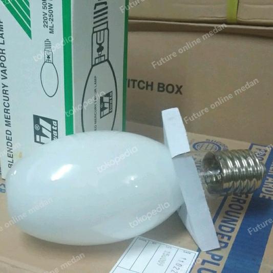 Gambar Bola Lampu Jalan ML 250 watt/ 500 watt e40 Mercury lamp 220V dari Future online medan Kota Medan Tokopedia
