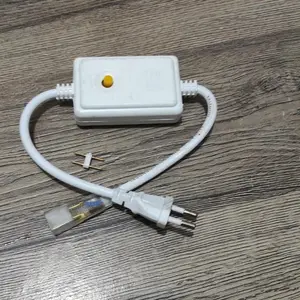 Flaser Lampu Selang LED Neon Flex Controller 5050 2835 Kedip 2 Jalur untuk LED Strip Selang 220V RGB 2 Pin dengan 8 Variasi Kedip