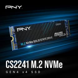Jual Pny Cs2241 2Tb Terbaru - Harga Murah Mei 2026 & Cicil 0