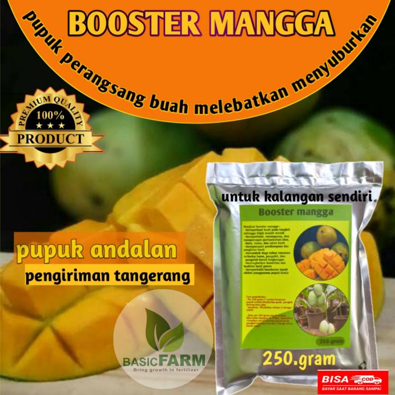 pupuk booster mangga pupuk buah melebatkan dan mempercepat 0