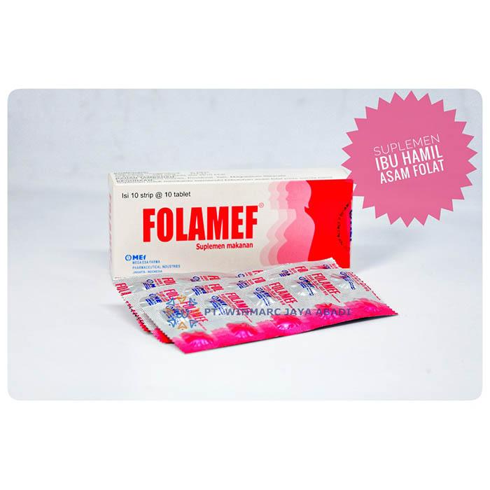 Gambar FOLAMEF Asam Folat 400 mcg Tablet Suplemen Kesehatan Wanita Hamil (10 Strip) dari Mega Esa Store Kota Administrasi Jakarta Utara Tokopedia