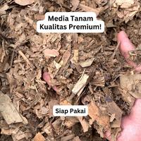 Gambar Daun Bambu Fermentasi - Media Tanam Humus Daun Bambu Tanaman Hias dari workplant official Kota Surabaya 5 Tokopedia