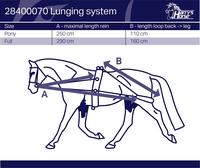 Gambar Harry's Horse Lunging System - Full dari BTS Tack Shop Kab. Tangerang 4 Tokopedia