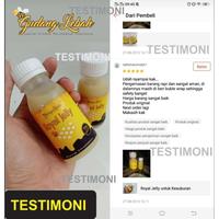 Gambar Madu Royal Jelly Asli dari Gudang Lebah Indonesia Kab. Banyumas 3 Tokopedia