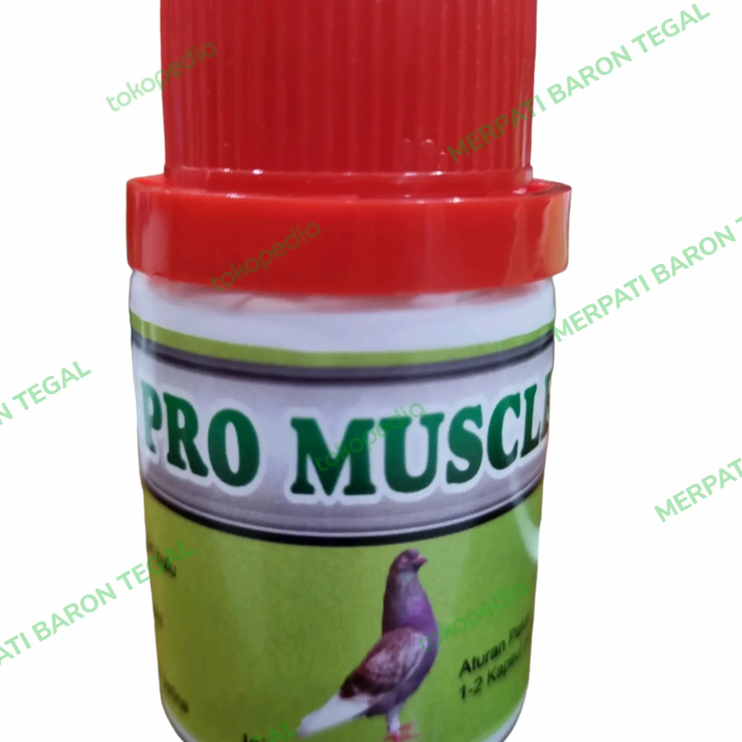PRO MUSCLE MERPATI BARON