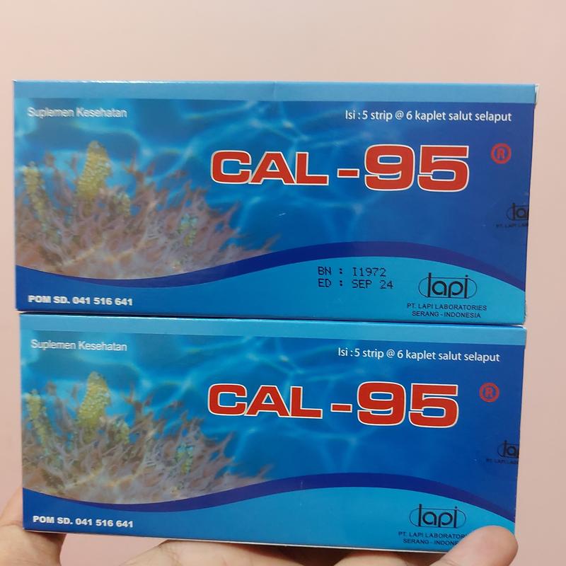 CAL 95 PER BOX ISI 30 TABLET - Shop | Tokopedia