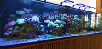 Gambar Aquarium air laut full set up 350 cm dari Akvodecor Kota Administrasi Jakarta Barat 3 Tokopedia