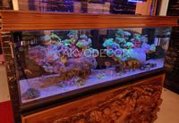 Gambar Aquarium air laut full set up 200 cm dari Akvodecor Kota Administrasi Jakarta Barat 2 Tokopedia