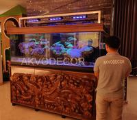Gambar Aquarium air laut full set up 200 cm dari Akvodecor Kota Administrasi Jakarta Barat 3 Tokopedia