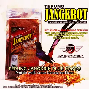 JANGKROT Tepung Jangkrik Alam Protein Pakan Burung Murai Batu Pleci Ciblek