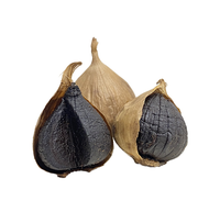 Gambar Black Garlic Bawang Hitam Tunggal Lanang Jumbo Premium Alamme 250 Gram - Black Garlic dari alamme herbal Kota Bandung 5 Tokopedia