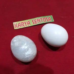 Alat Sulap Telor Getar Cahaya Atau Air