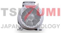 Gambar FAW 20 HP 3 PHASE dinamo motor dari Tsuzumi Japan Kota Tangerang 2 Tokopedia