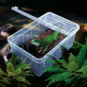 Nomoy pet feeding Breeding box untuk reptile, serangga, ampibi
